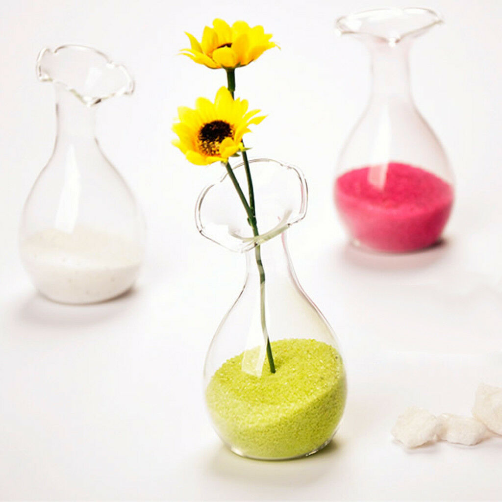 European Glass Flower Hydroponic Vase Bottle Terrarium Container Home Decor