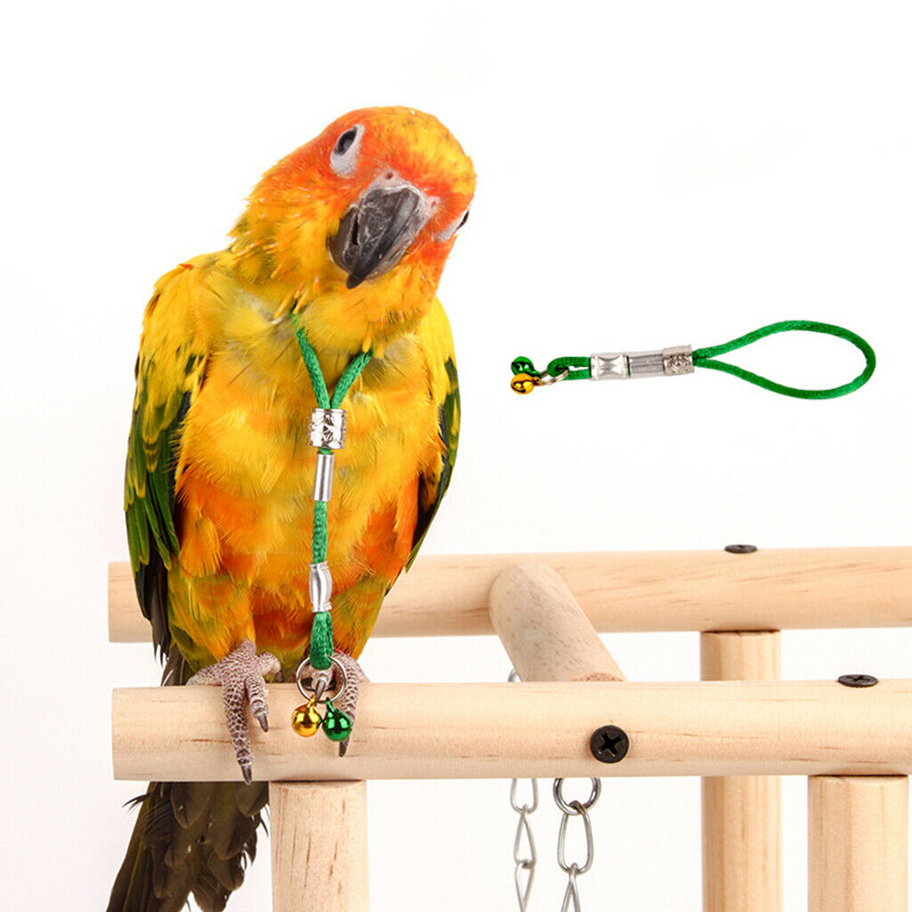 Adjustable Parrot Harness Lead Leash Anti Bite Rope Parrot Toys w/ Bells