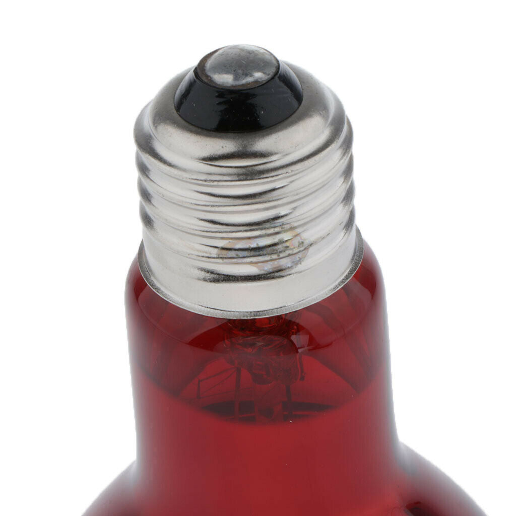 2Pieces Reptile Heat Lamp Heater Terrarium Turtle Screw-In 220-240V 50W/75W
