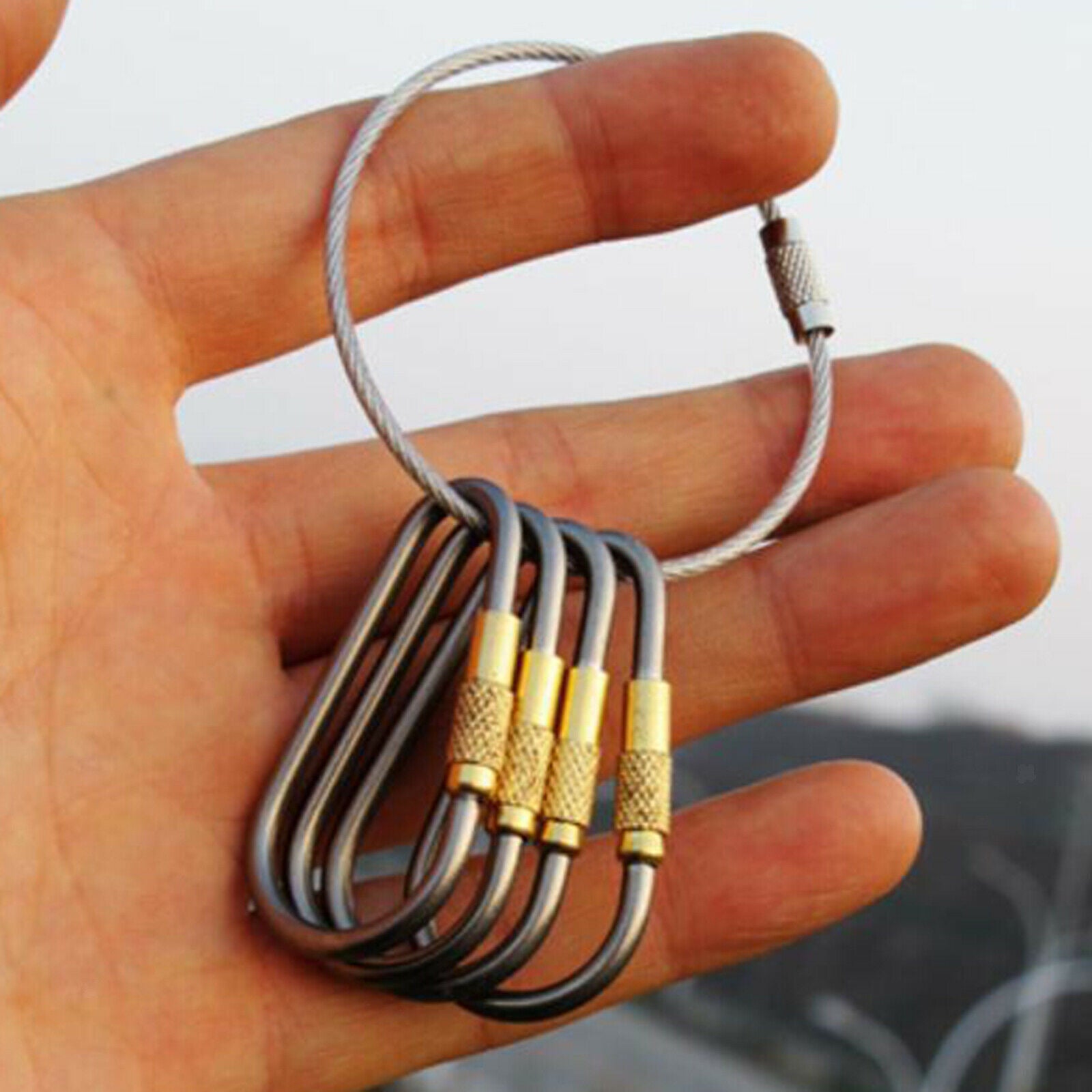 Carabiner Clips Hiking Keychain Screwgate Travel Dog Leash D-Ring Clasp Lock