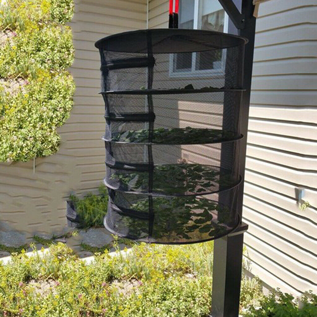 Collapsible Drying Rack Plants Net Tray for Hydroponic Plant and Bud 45cm
