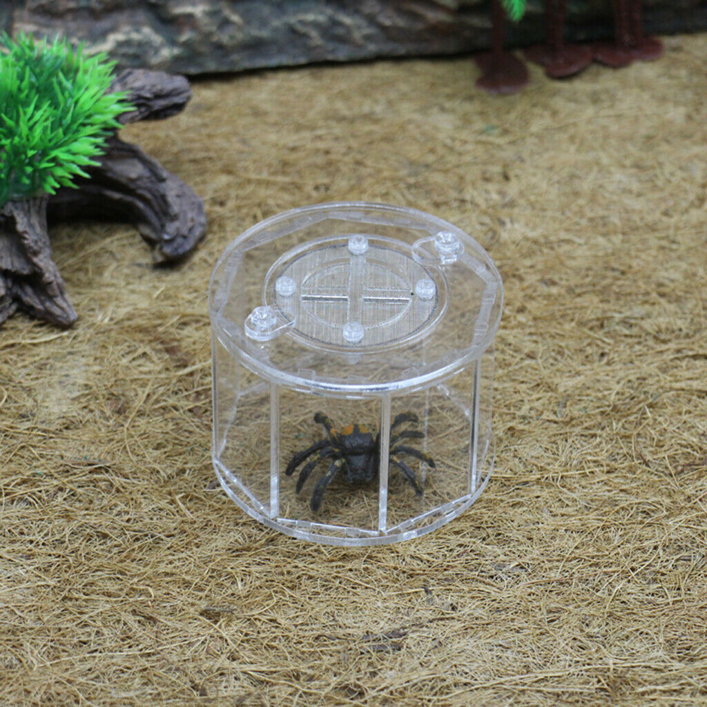Spider Insect Reptile Tank Vivarium Cage Box Clear Acrylic Terrarium Clear