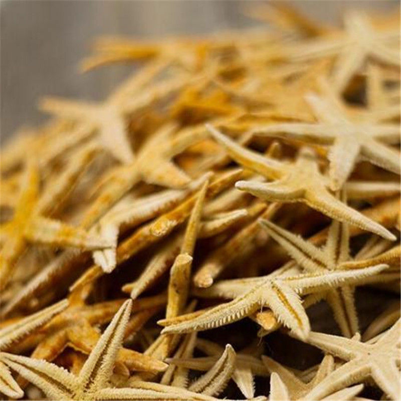 Mini Natural Starfish Shell Beach Sea Star Landscape Crafts Making Decor 50PCs