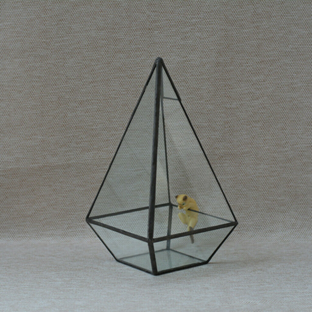 Pyramid Glass Geometric Terrarium Box Tabletop Succulent Planter Black