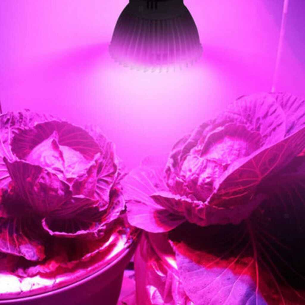 5x 10W Grow Light Bulb for Growing Plants, Vegetables, and Flowers - 28 LEDs