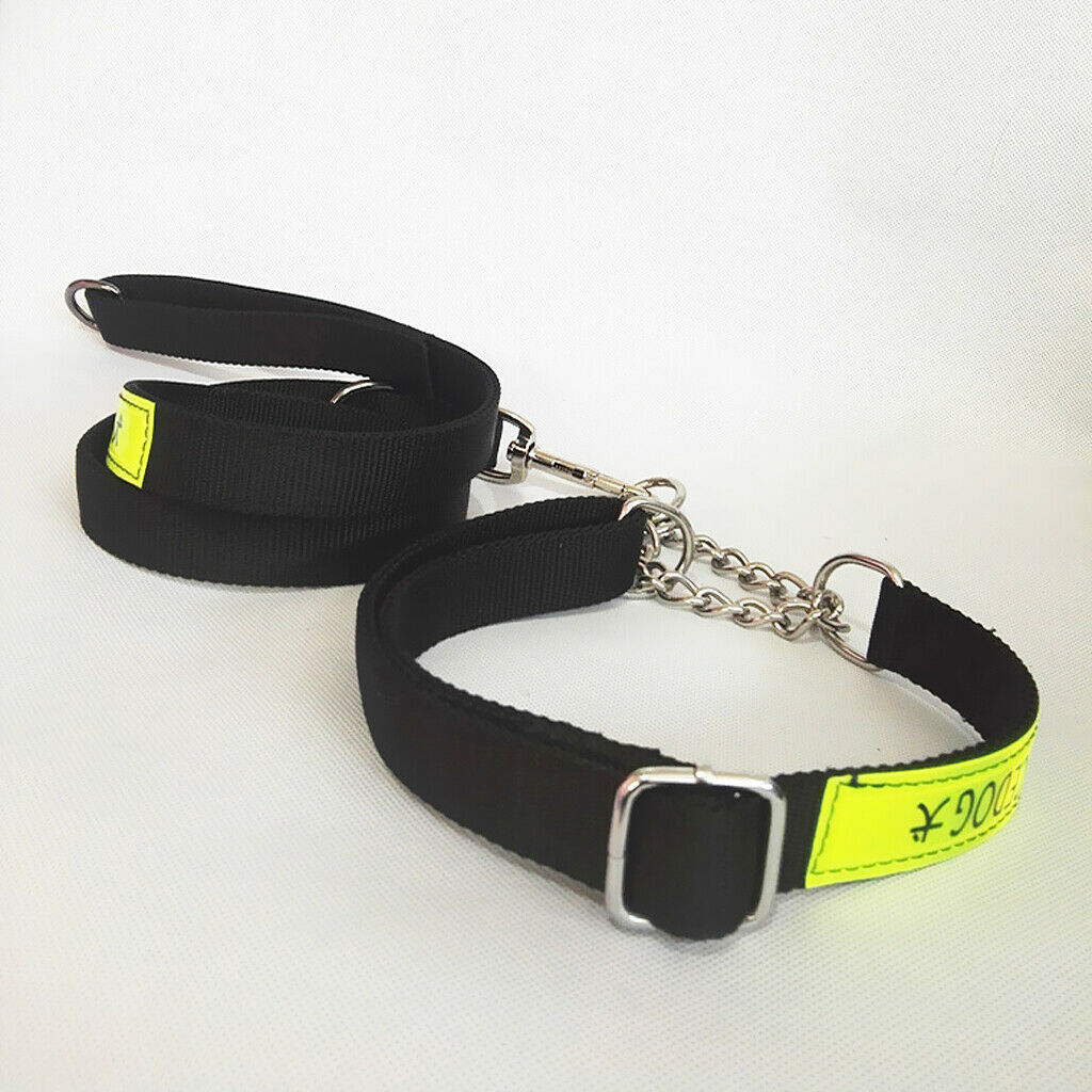 Reflective Strong Nylon Rope Dog Leash Collar Set for Walking Hiking Black