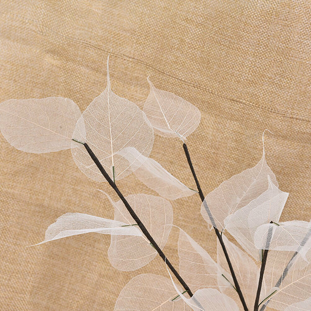 Natural white bodhi foliage and foliage Dried flowers for home decorati.l8