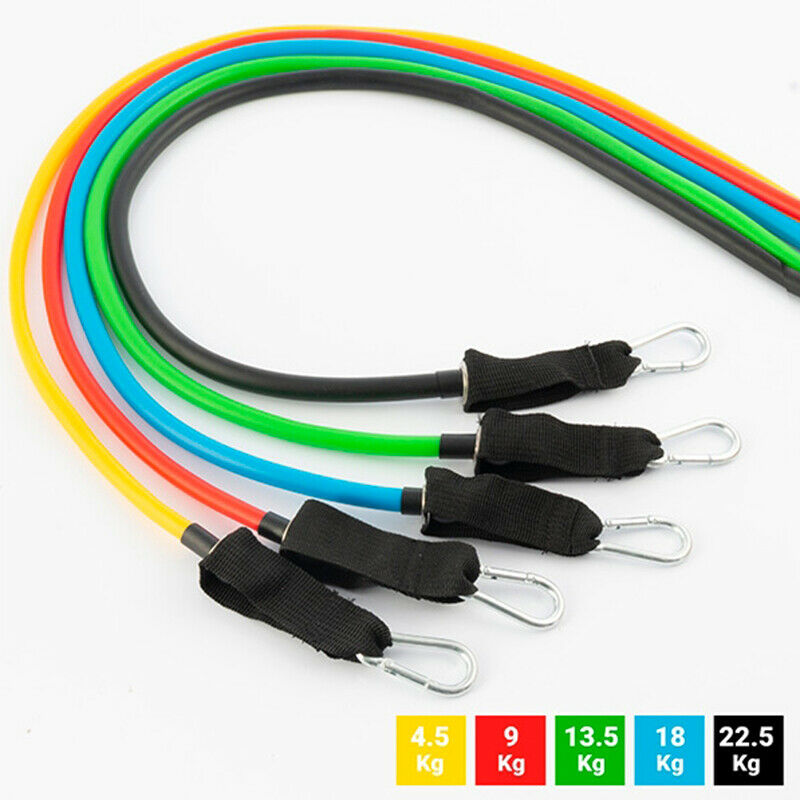 Shop-Story - Rebainer: Set 5 Bands Of Resistance With Accessories