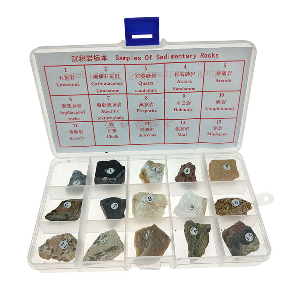 15pcs Sedimentary Rock Specimen Educational Rock Real Stone Teaching Aid