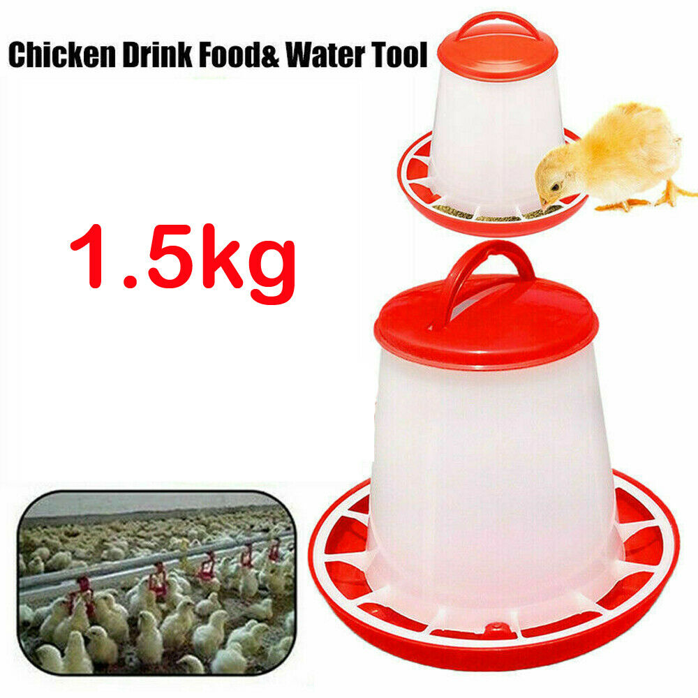 Automatic Chicken Bird Chook Poultry Feeder Drinker Chicken Poultry Waterer