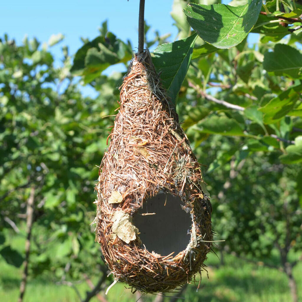 3x Handwoven Straw Bird Nest Natural Pet Grass Cave Garden Decor E