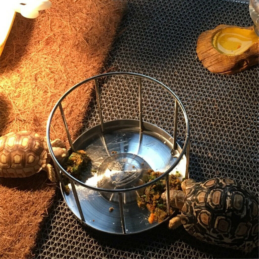 Stainless Steel Tortoise Food Bowl Turtle Food Dish Dispenser Feeding Tool B
