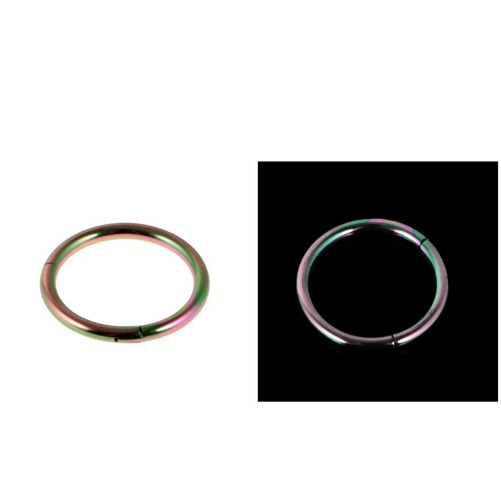 2 Piece Stainless Nose Ring Clicker Septum Hinge Tragus 16G 1.2x10mm Rainbow