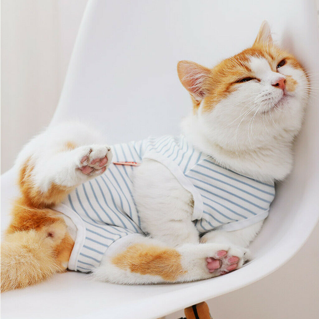 Cat Recovery Suits After Surgery Wear Clothes For Small Pet Cat Kitten XL