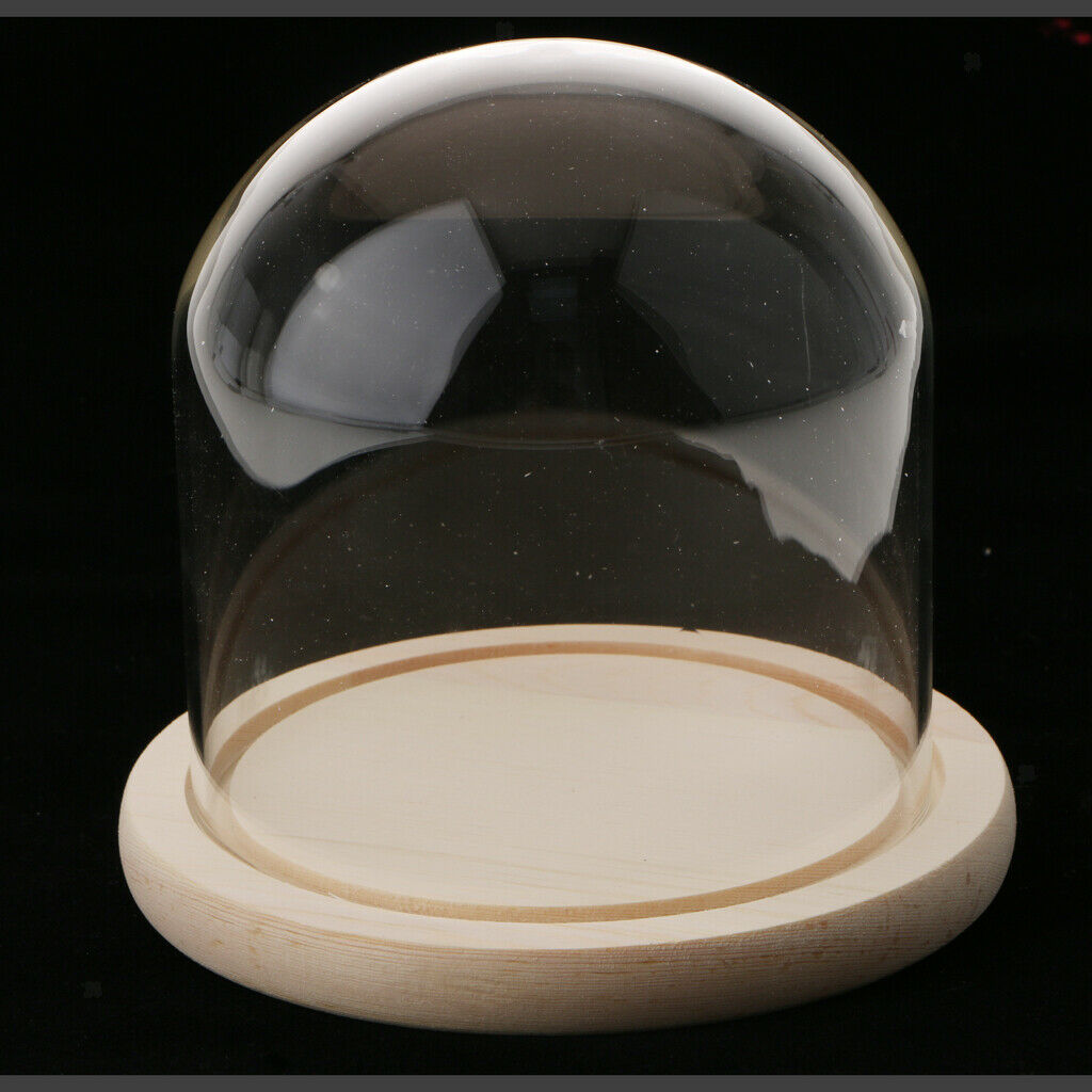 Glass Cloche Micro Landscape Plant Flower Mini Garden Dome Cover Vases