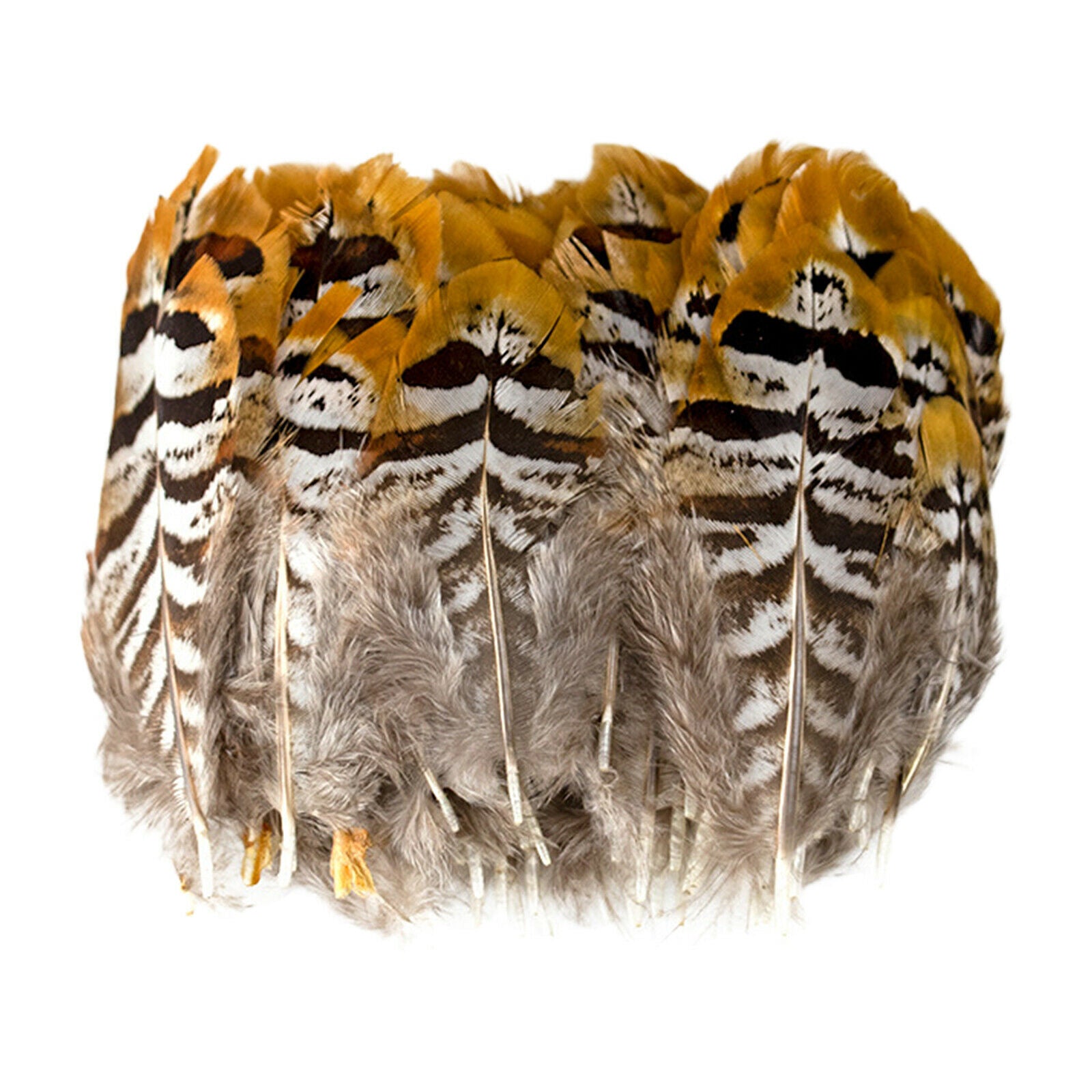 Natural Pheasant Feather Home Background Dream Catcher Earrings DIY 6-11cm