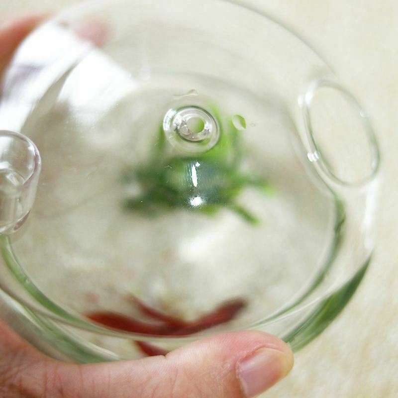 Mushroom-shaped Hanging Glass Planter Vase Rumble Fish Tank Terrarium ContaineD1