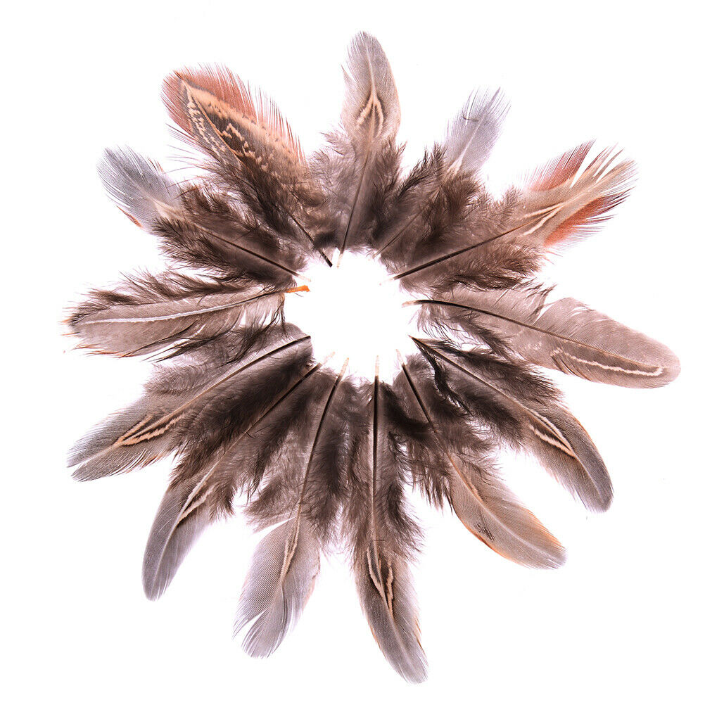 50pcs/set pheasant feathers 5-10cm chicken plumes for carnival diy craft .l8