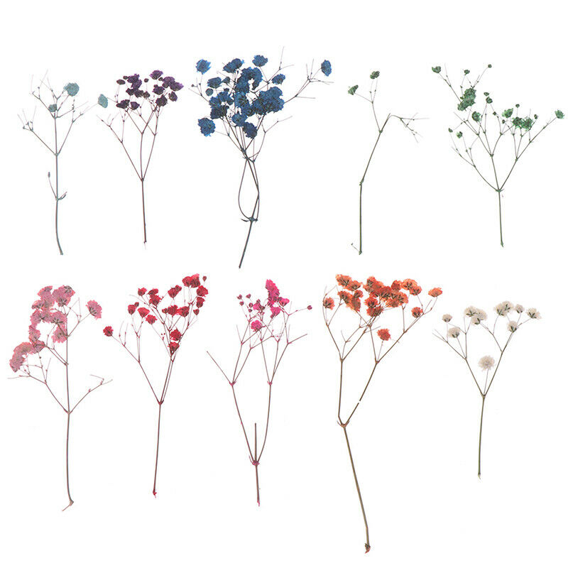 10x/Set Mini Gypsophila Cute Dried Flower Wedding Decoration DIY Hand acc.l8
