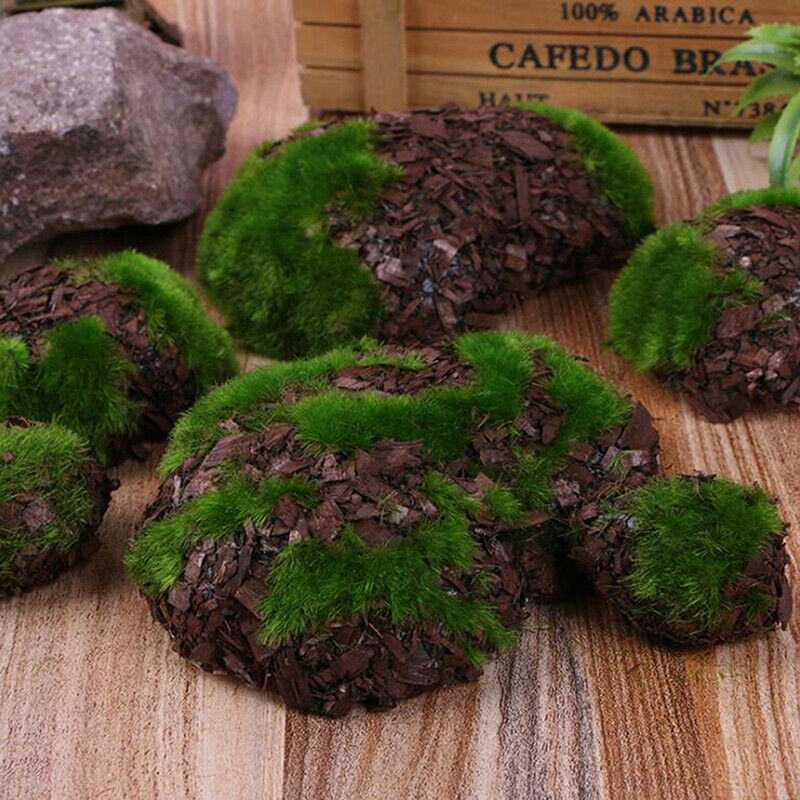 6Pcs Artificial Moss Stone Grass Green Plant Micro Landscape Garden Decor.huCHA