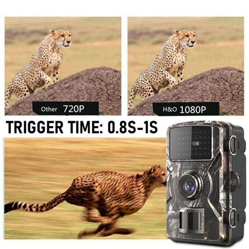 Hunting Trail Camera 1080P Infrared Wildlife Scouting Cam Night Vision IP66