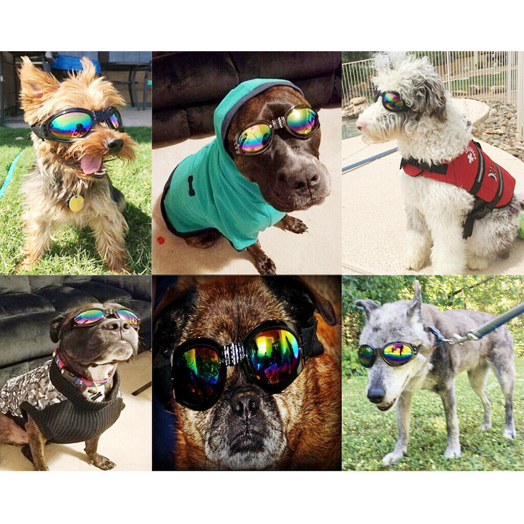 Adjustable Pet Sunglasses Windproof Waterproof Eye Wear Protection