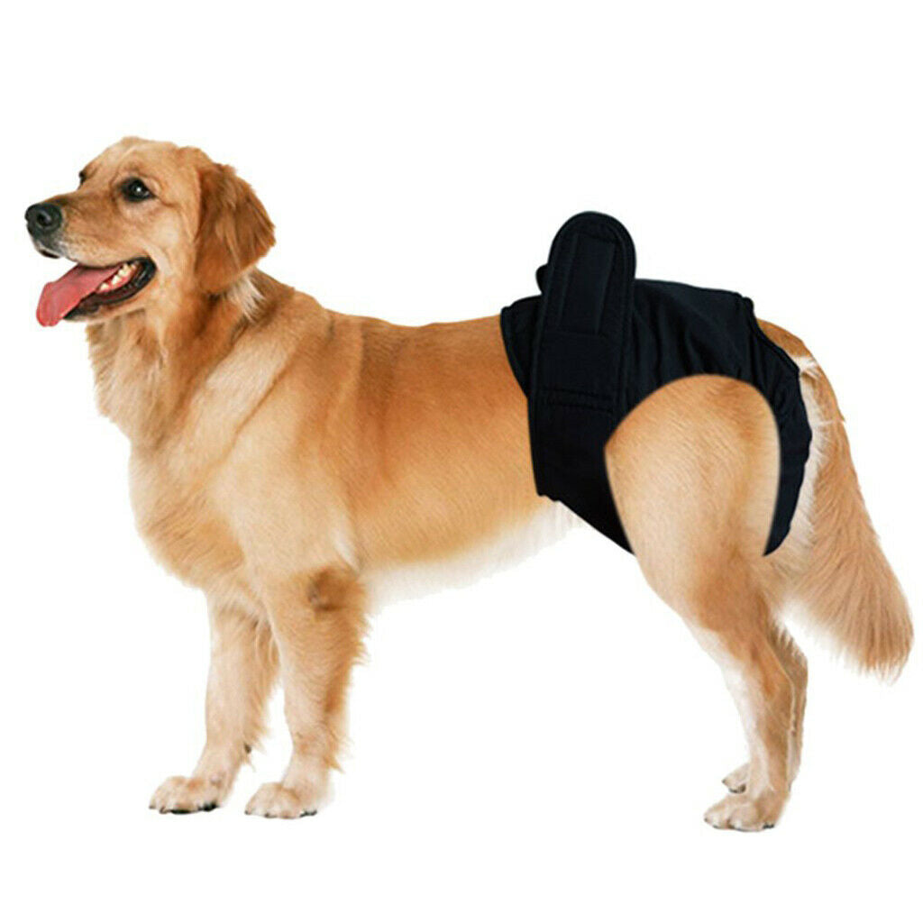 4 Pieces Pet Dog Safe Physical Pant Female Dog Sanitary Nappy Diaper, Black and