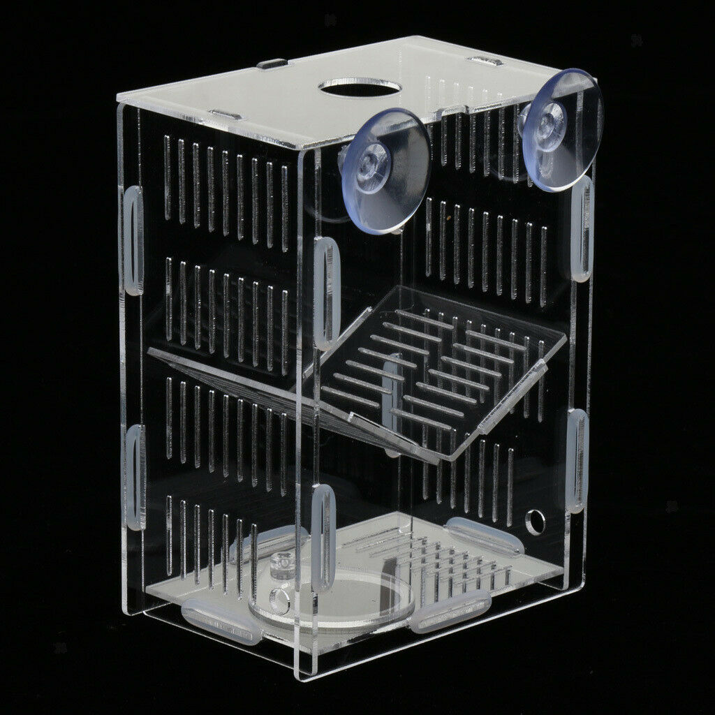 Clear Fish Breeding Box Acrylic Aquarium Breeder Box Double Guppies Hatching