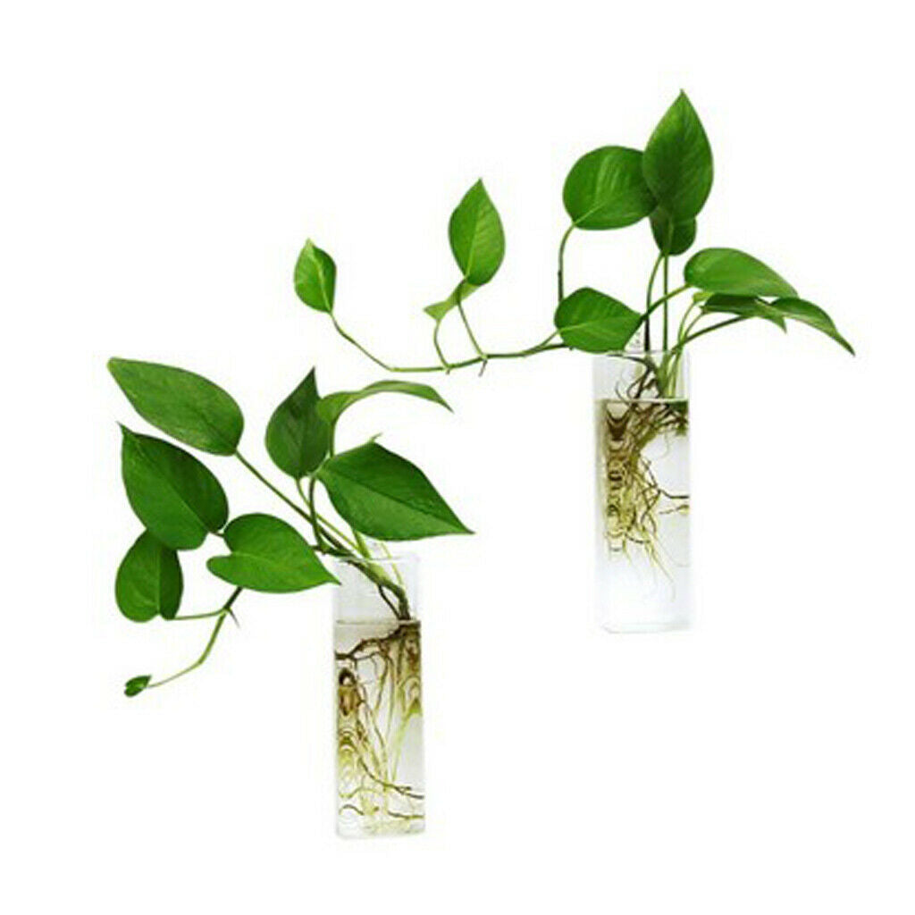Square Hydroponic Hanging Planter 15cm Nursery Pot Glass Flower Vase Decor