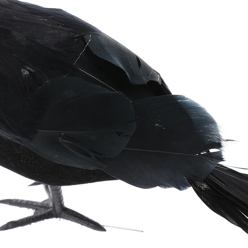 Halloween Black Crow Props Realistic Raven Spooky Feathered Crows House D.l8