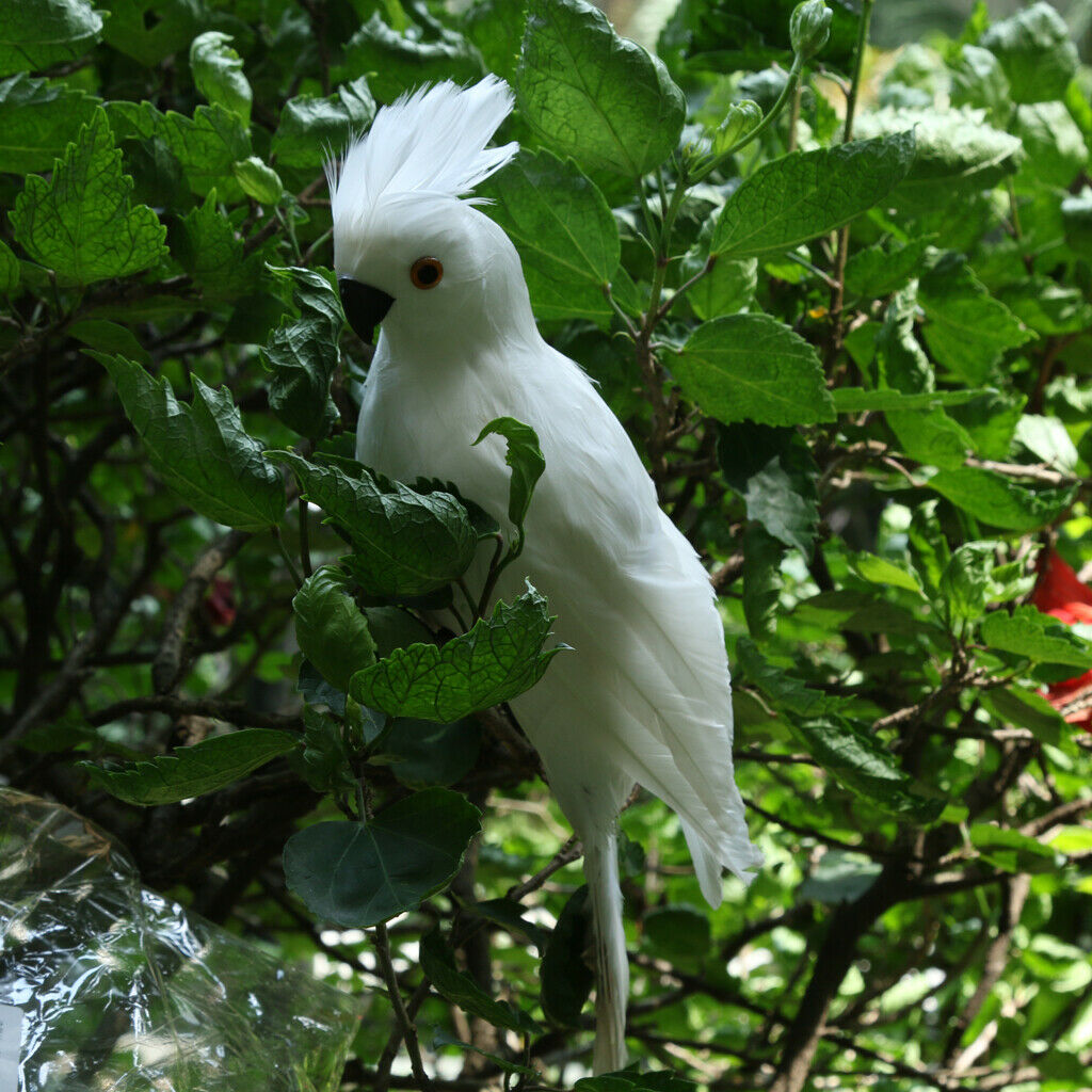 2x Realistic Parrot Artificial Feather Bird Animal Ornament Decor White & Red