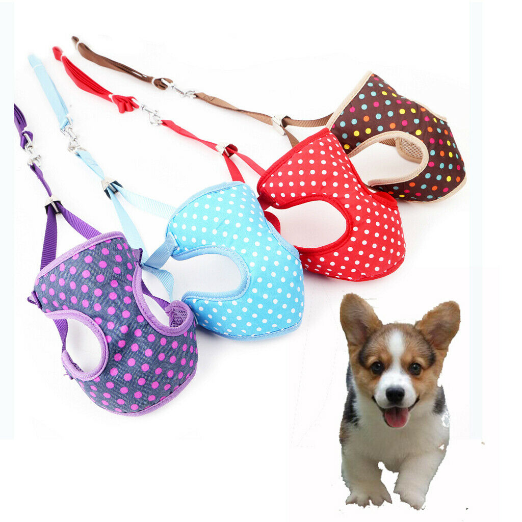 Colorfol Dot Print Pet Dog Adjustable Harness Leash Lead Pet Vest S Blue