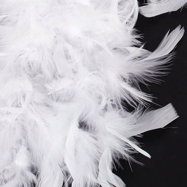 White Feather   Craft Decoration 6.6 Feet Long