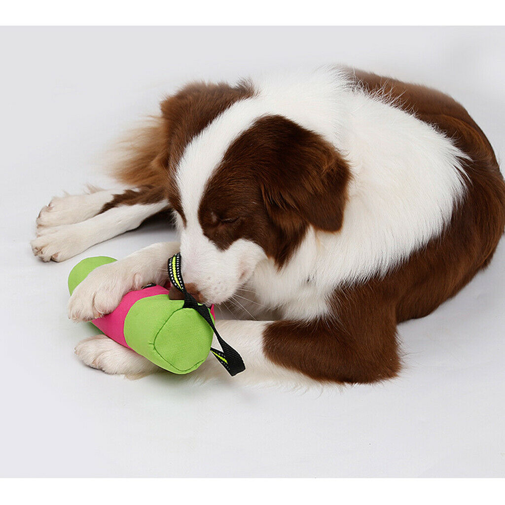Dog Treat Training Bag Pet Interactive Playing Snack Dummy Pouch