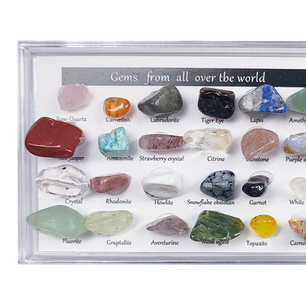 24x Rock Mineral Collection Set Mining Experimental Kit Science Geography