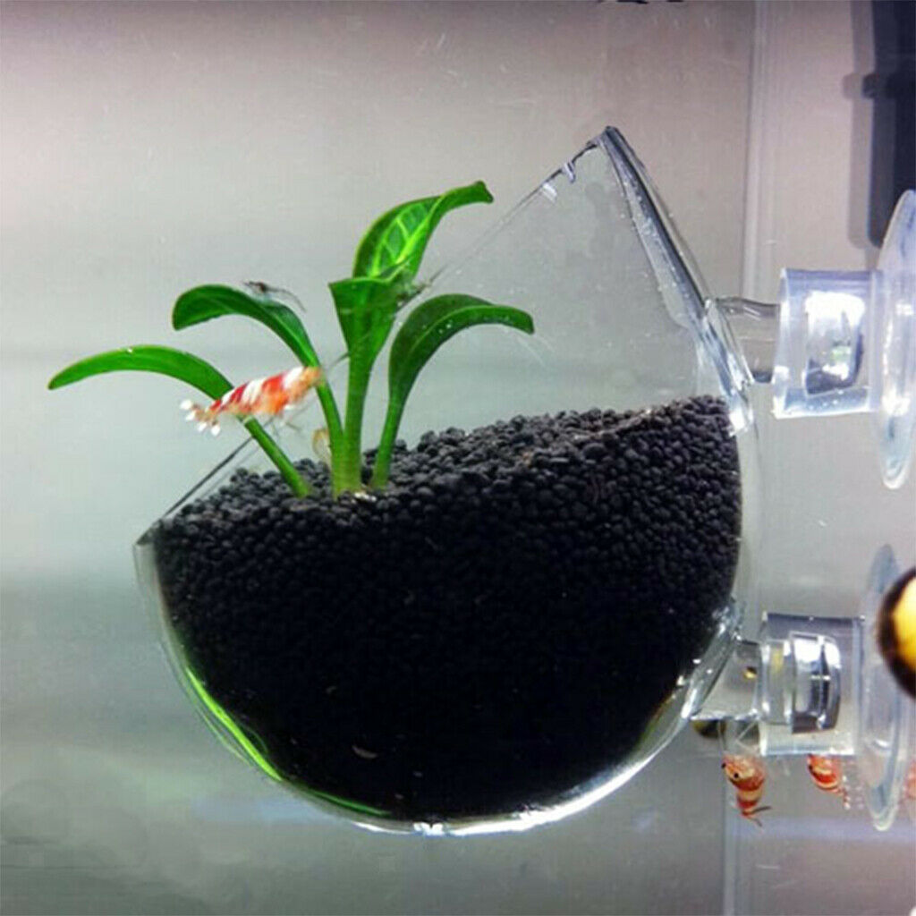 Dia. 6.3cm Clear Crystal Glass Aquatic Plant Cup Pot with Suction Ornament
