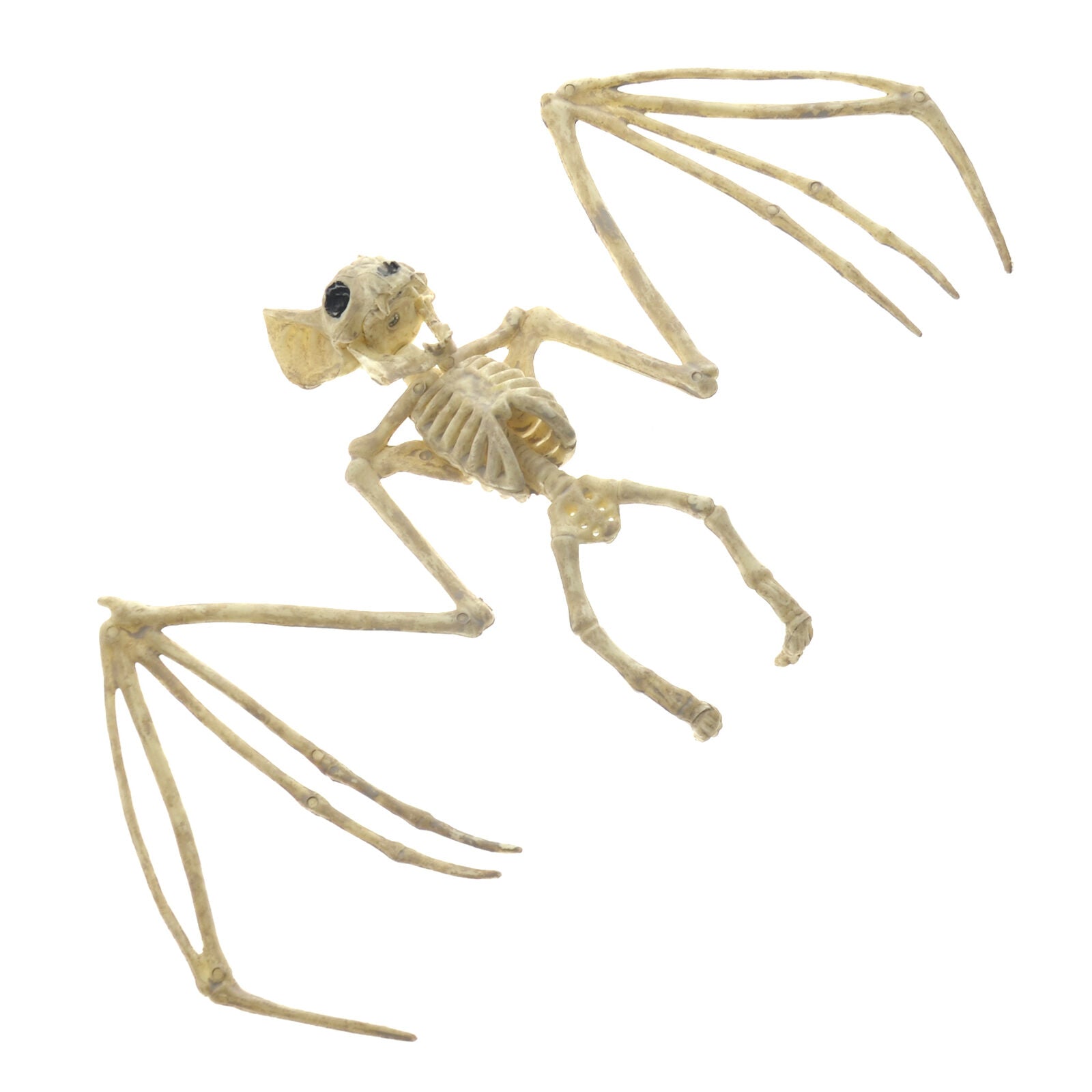 11.8" Creepy Skeleton Bat Bonez Halloween Scene Party Scary Decor Props AU GIFT