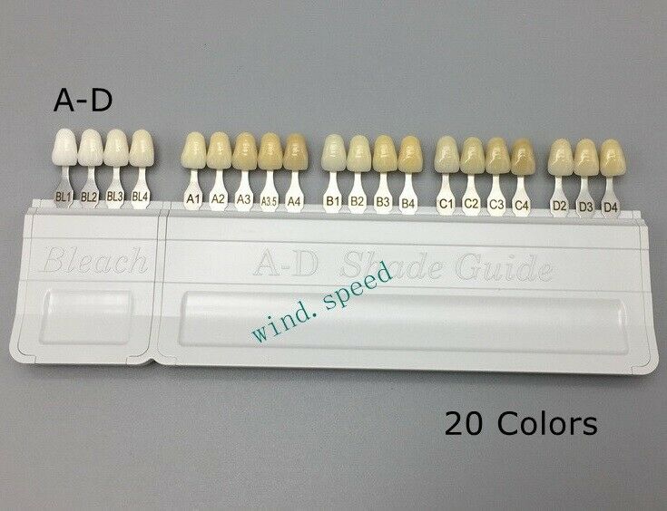 lvoclar Vivadent Dental Teeth Shade Guide A-D 20 color Porcelain Tooth Bas VITA