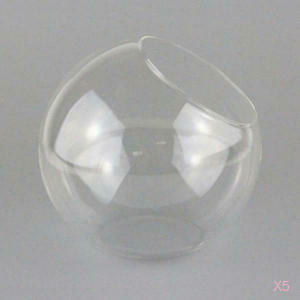 5Pcs Transparent Ball Glass Hydroponic Pot Flower Vase Terrarium Home Decor