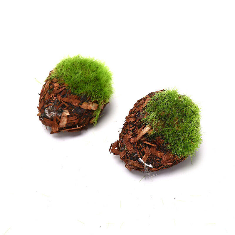 6Pcs Artificial Moss Stone Grass Green Plant Micro Landscape Garden Decor.huCHA