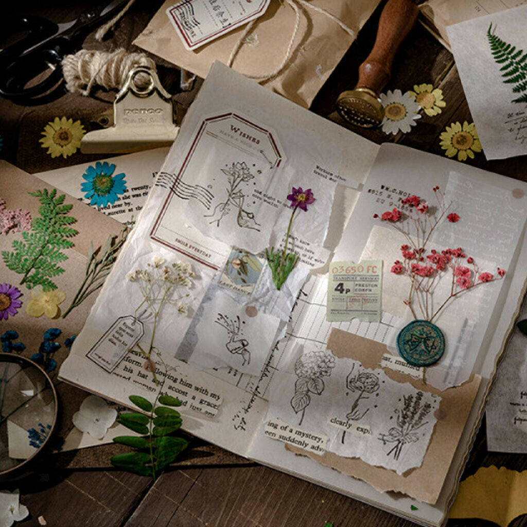 4Bag Lot Natrual Dried Flowers Pressed Leaves Embellishments for Accessories