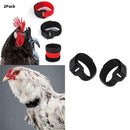 Set of 2 Rooster Collar Prevent Chicken from Screaming for Rooster Goose