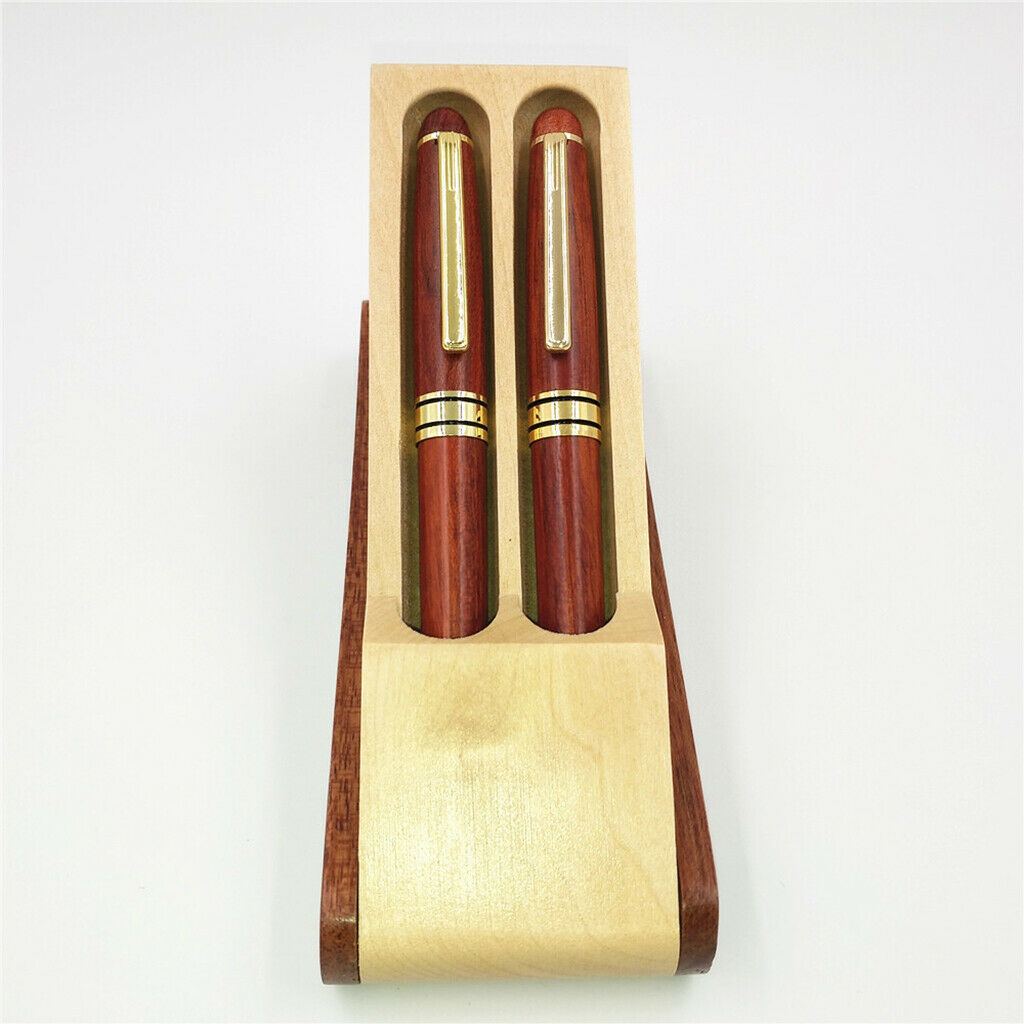 Calligraphy Fountain PenCalligraphy Fountain Pen for Kids School Writing Pen