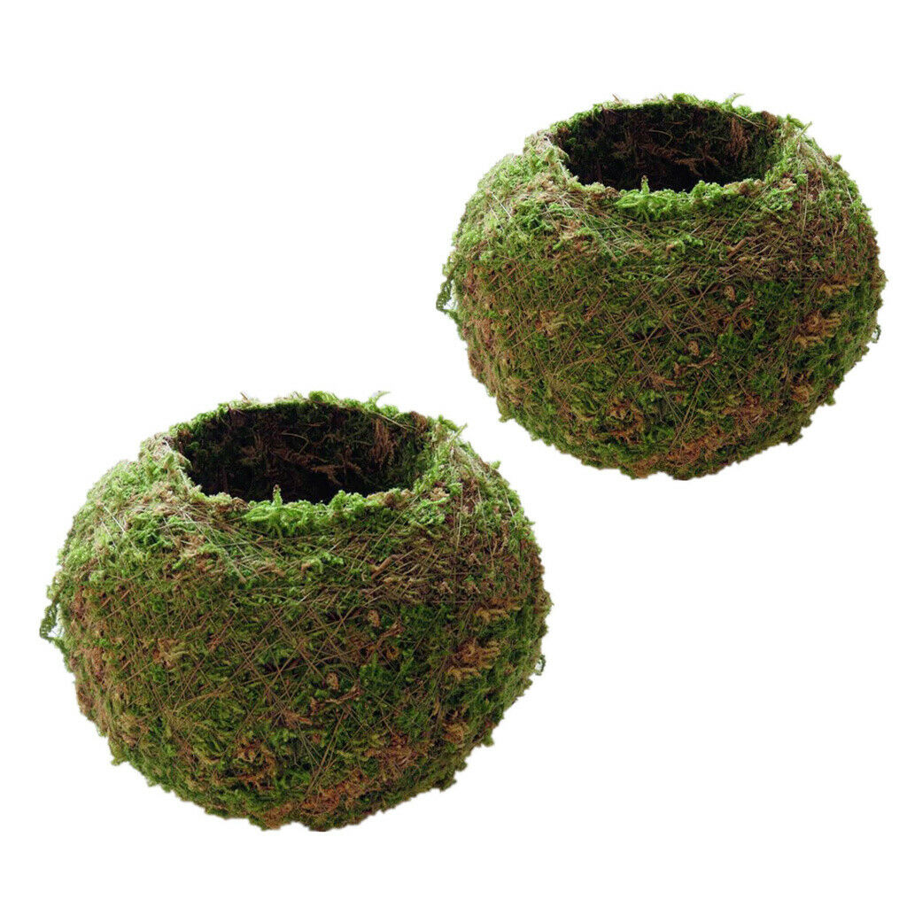 2pcs 9CM,12CM Moss Ball Flower Pot Planter Bonsai Plant Holder Home Garden