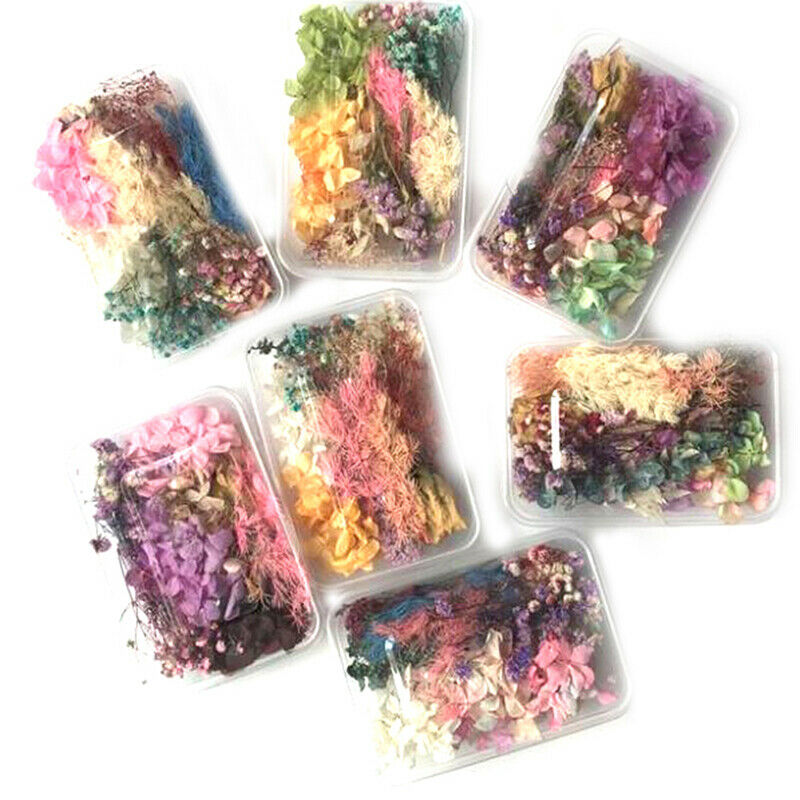 Random 1 Box Natural Dried Flower Dry Plants Real Flowers DIY Craft Acces.l8