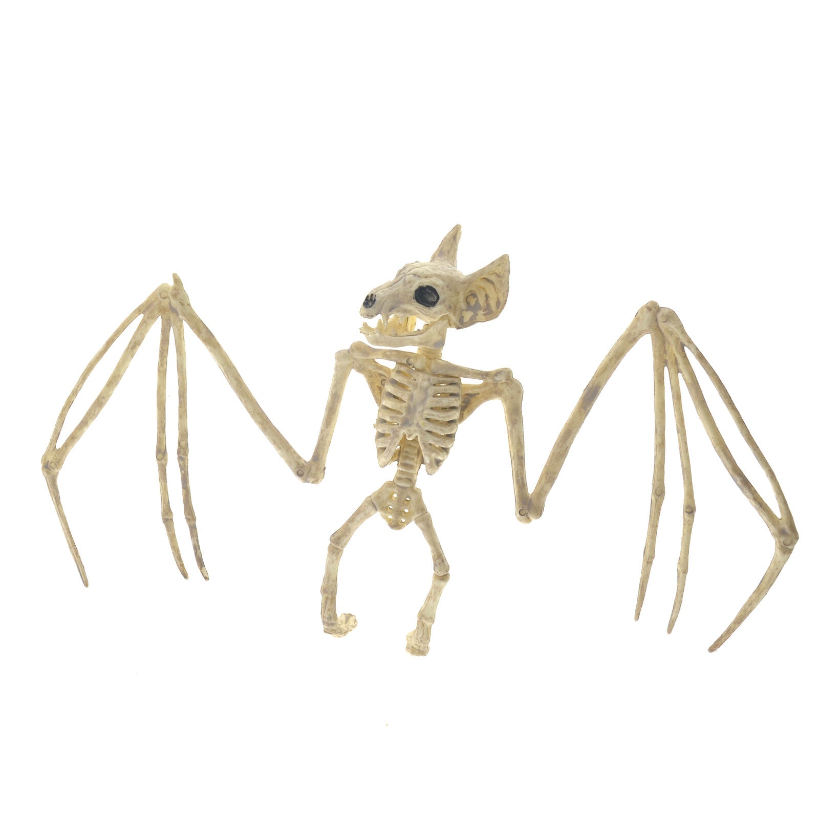 11.8" Creepy Skeleton Bat Bonez Halloween Scene Party Scary Decor Props AU GIFT