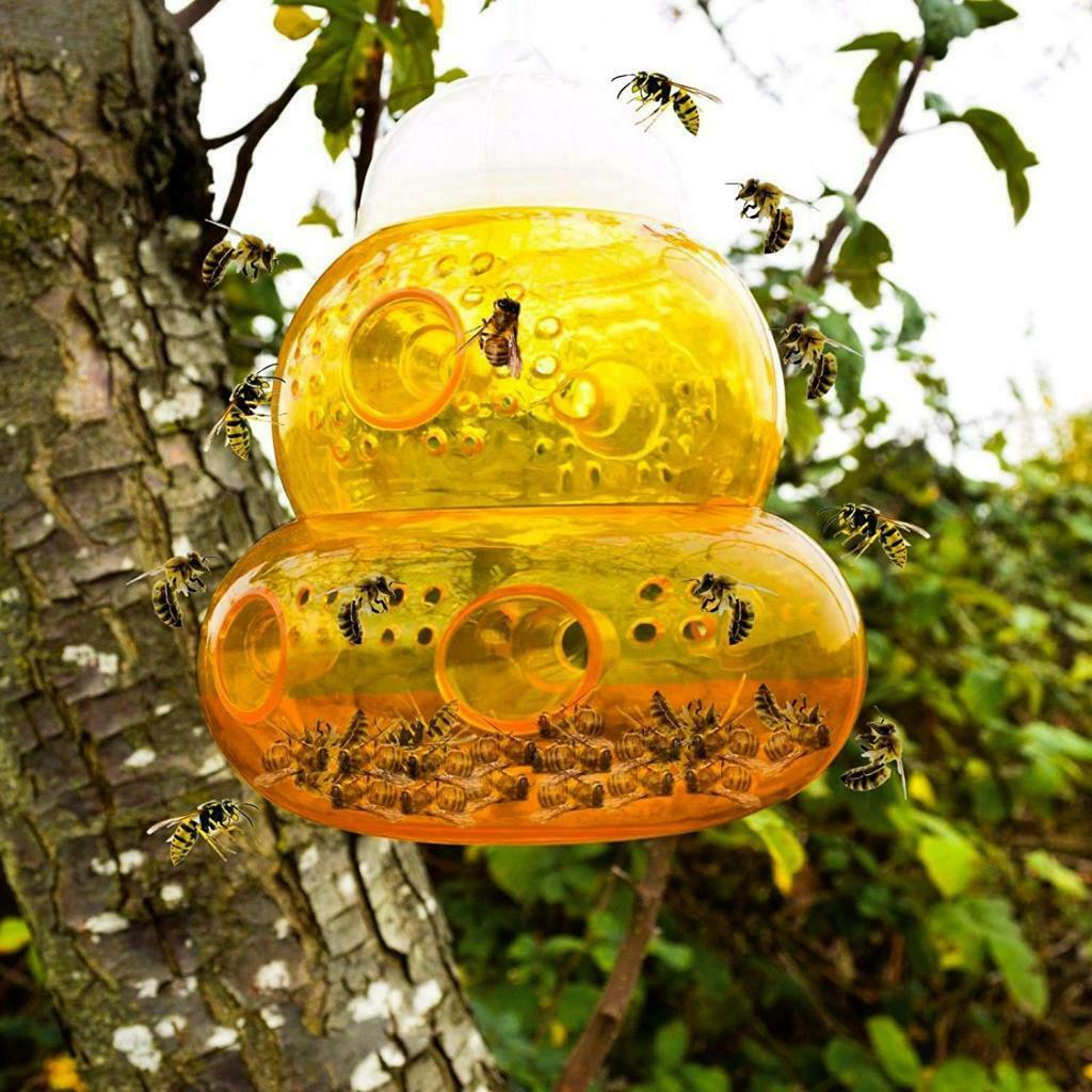 Wasp Hornets Trap, Yellow Jackets Wasp Repellent, Hornet Trap, Bee Traps Wasps,