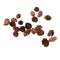 50x Small Real Natural Pine Cones for Christmas Holiday Ornament Decoration