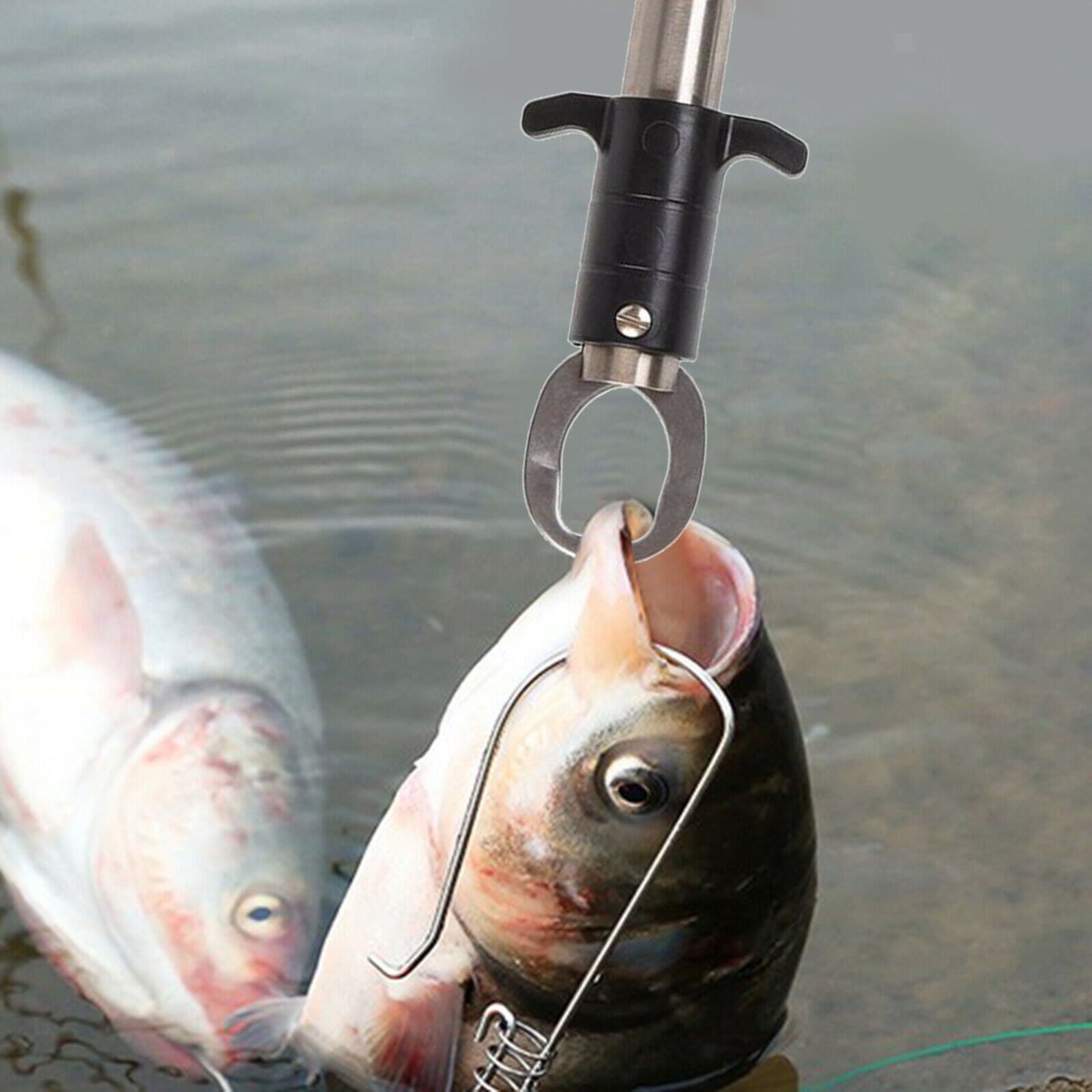Fish Lip Gripper with Electronic Scale 55 Pound 1M Tape Measure Fish Catcher