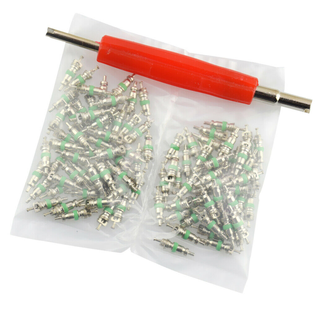 101 Pcs Assortment A/C AC Shrader Valve Core & Tool R12 HVAC Valves kit